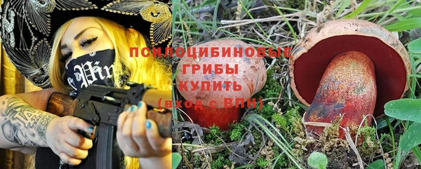 соль курить ск Бородино