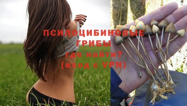 прущие крисы Белокуриха